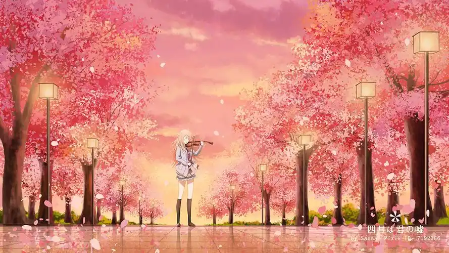 和你相遇的春天 四月是你的谎言 宫园薰电脑壁纸 _ 图片网