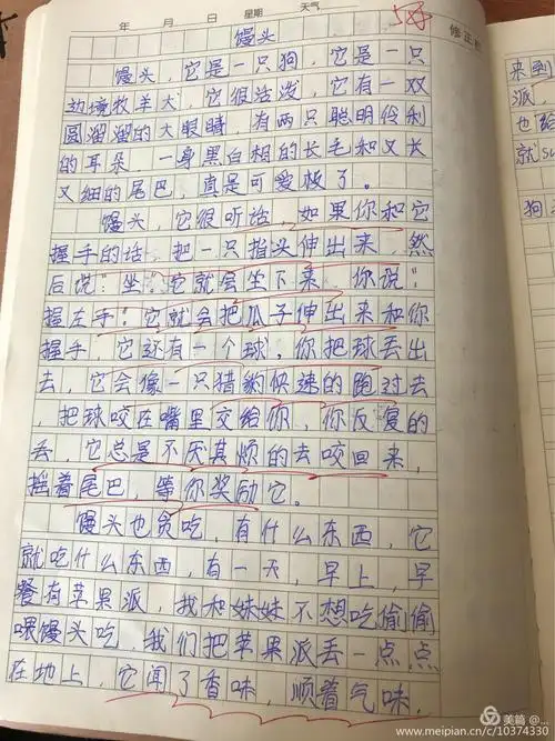 天台小学1504班第八周优秀周记展