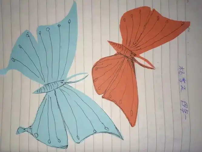 《对称的美》学生作品展示