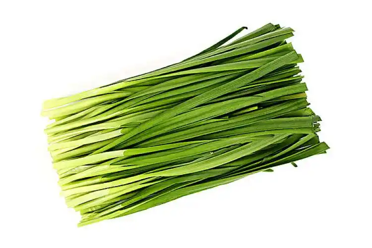 韭菜图片_韭菜高清图片_全景视觉