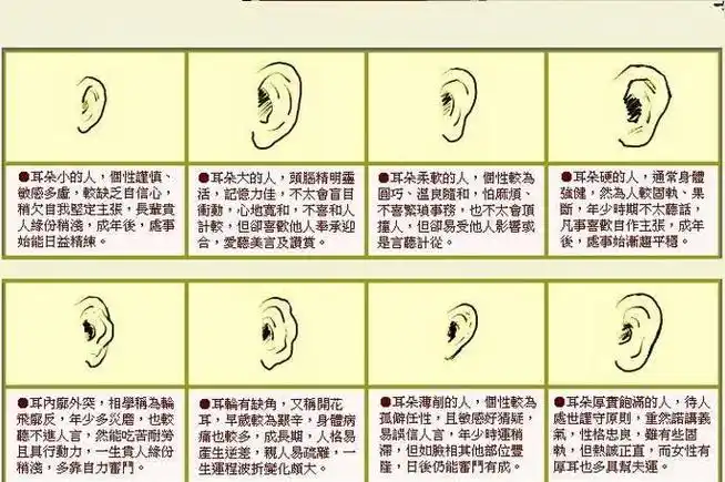 耳朵的形状有哪几种(什么样的耳型漂亮)