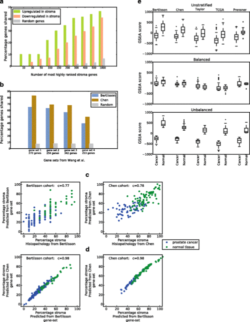 cholesterol synthesis pathway genes in prostate canc