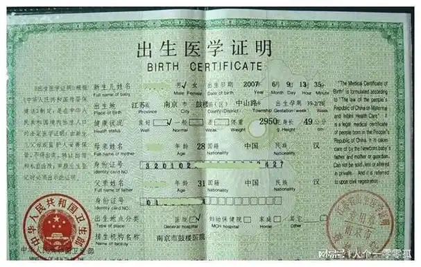 论贩卖出生证明"十宗罪"!