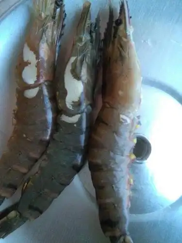 今天刚买的虾,在常温下放了半天,然后出现了这样的白斑,这是什么问题