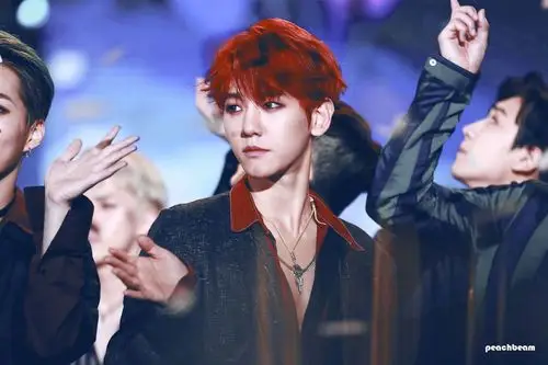 边伯贤 - 堆糖,美图壁纸兴趣社区