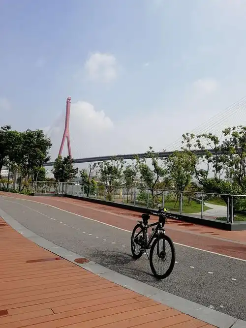 8.15.浦东滨江骑行(三)——民生路至杨浦大桥