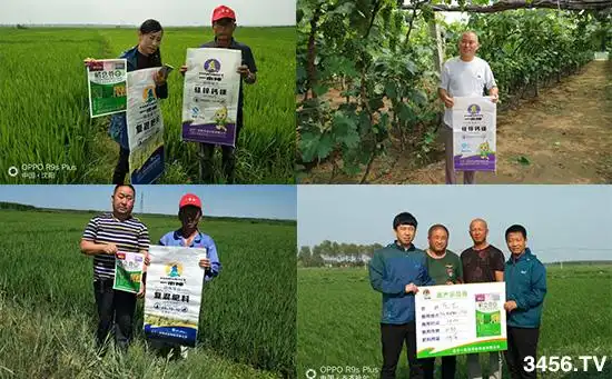 作物缺素越来越严重,降产病害多!不容忽视!