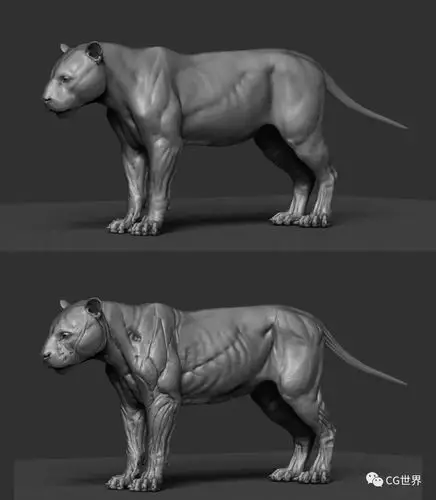 做cg一定用得上的人体和动物解剖图