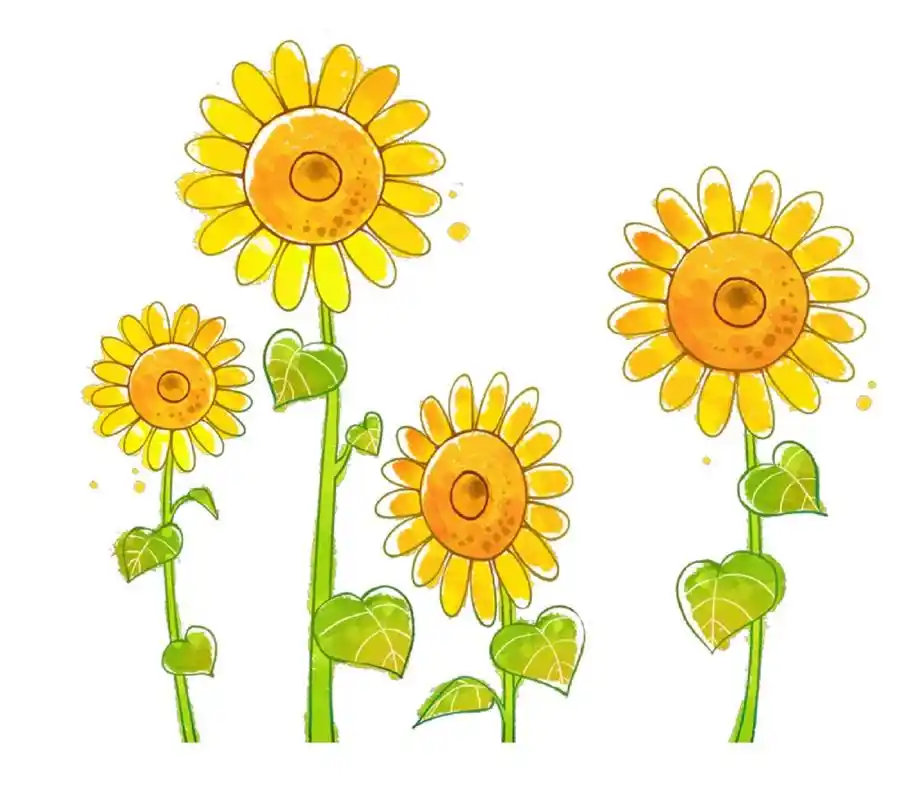 卡通向日葵素材,让你的设计更加生动有趣!