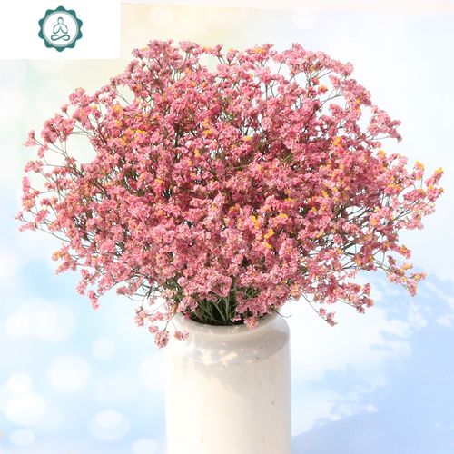 真花装饰摆件网红ins风鲜花风干插花勿忘我论斤卖 封后 浅紫白情人草