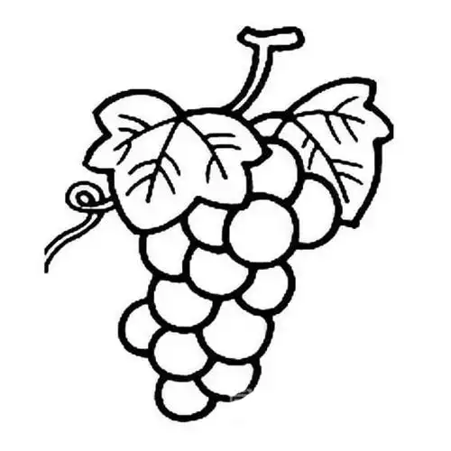 关于葡萄简笔画,水果简笔画图片大全,儿童简笔画葡萄的画法,一串葡萄