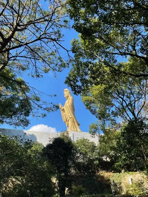 就去了普济寺周日一早出发去南海观音,然后做公交车去梵音洞善财洞,再