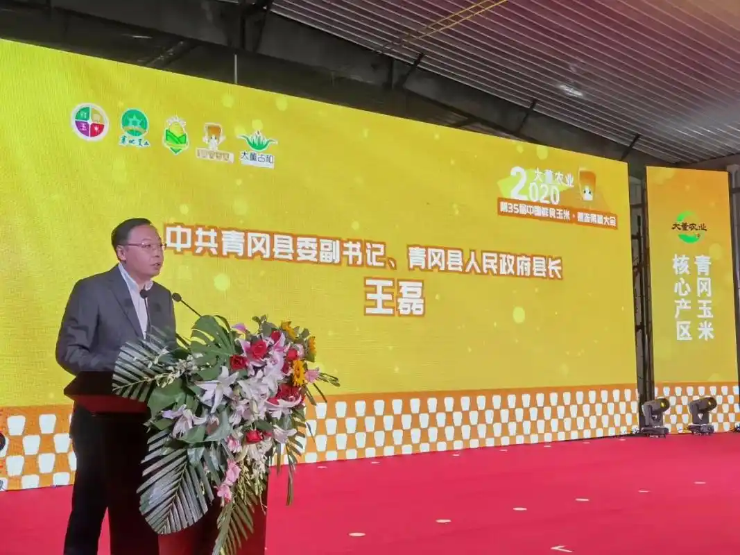 会上,青冈县委副书记,县长王磊在致辞中表示,目前,青冈县正全力推进寒