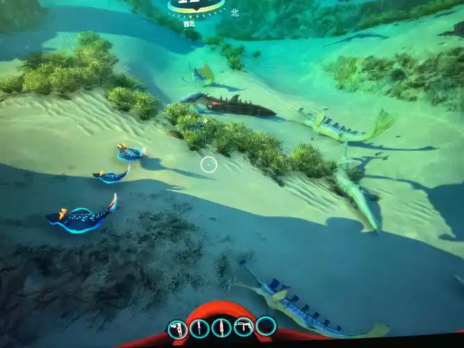 深海迷航今天的群鱼干架