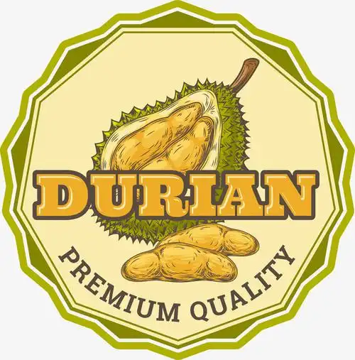 关键词 : 榴莲,水果,卡通标签,食物,复古,矢量图案
