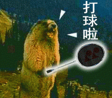 有了这些羽毛球表情包,再也不怕微信群里斗图了!