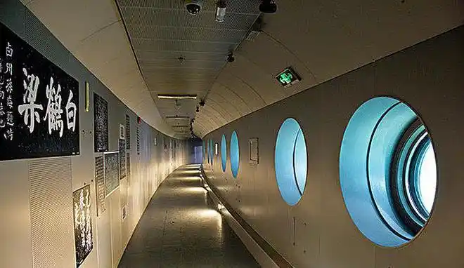 重庆热门旅游景点白鹤梁水下博物馆旅游攻略低音号导游