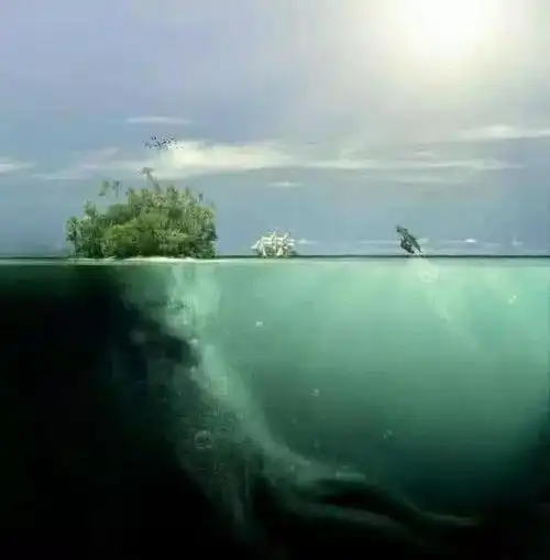 5张测试深海恐惧症的图片如果感到心悸出汗快退出