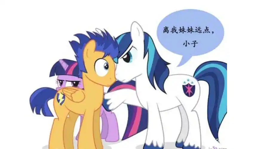 小马宝莉:紫悦和阿绅生女儿了?隙星居然在演讲比赛中得了高分