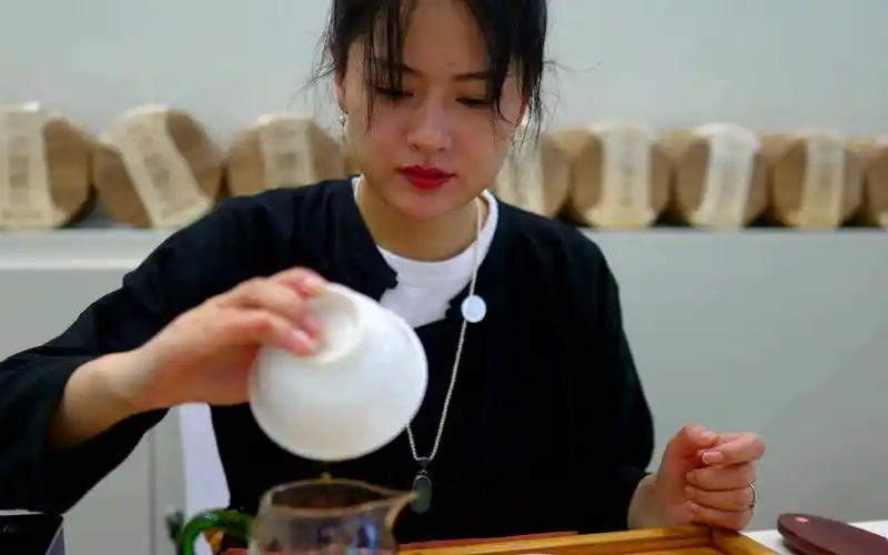 茶博会美女泡茶--zve1