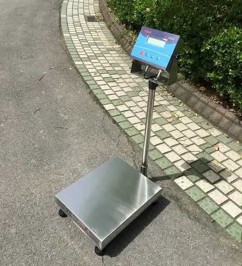 防爆型电子秤500公斤