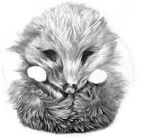 素描小刺猬的画法(6)