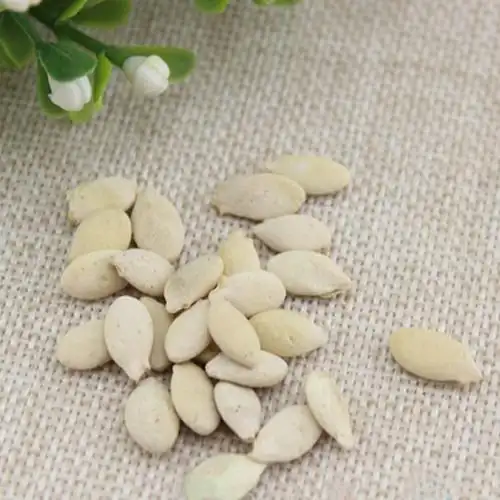 冬瓜子 冬瓜子仁 冬瓜籽 生冬瓜子 白瓜子 冬瓜子500g包邮