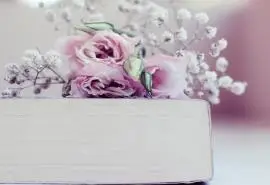 花朵与书香的唯美结合桌面壁纸图片大全