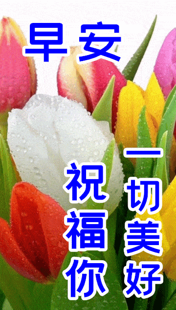 1月12日早上好祝福语图片带字温馨最新漂亮早上好问候动态图带字