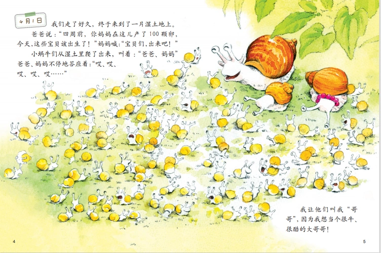 我的日记系列绘本阅读蜗牛的日记