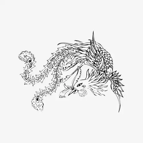 中国风纹样,凤纹,中式传统图案,凤凰白描,吉祥图案,线描插画