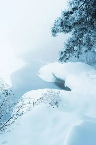 雪景 背景 雪花 冰雪