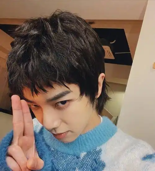 华晨宇公开寸头自拍照,他的底气从何而来_短发_生活_发型