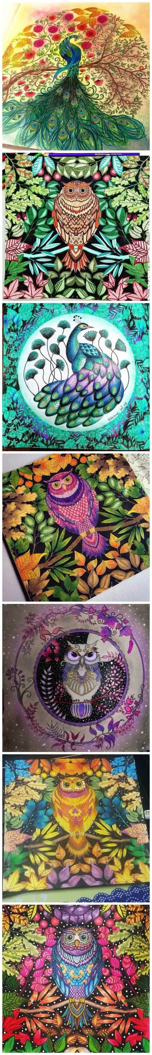 秘密花园大神级涂色欣赏