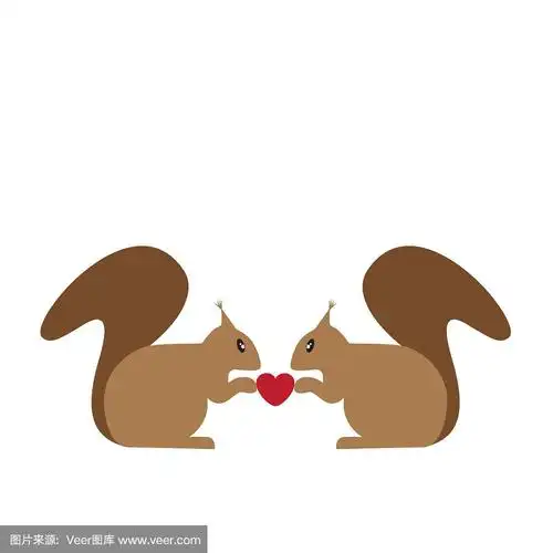 两只可爱的松鼠在恋爱