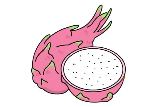 火龙果简笔画怎么画火龙果简笔画步骤教程