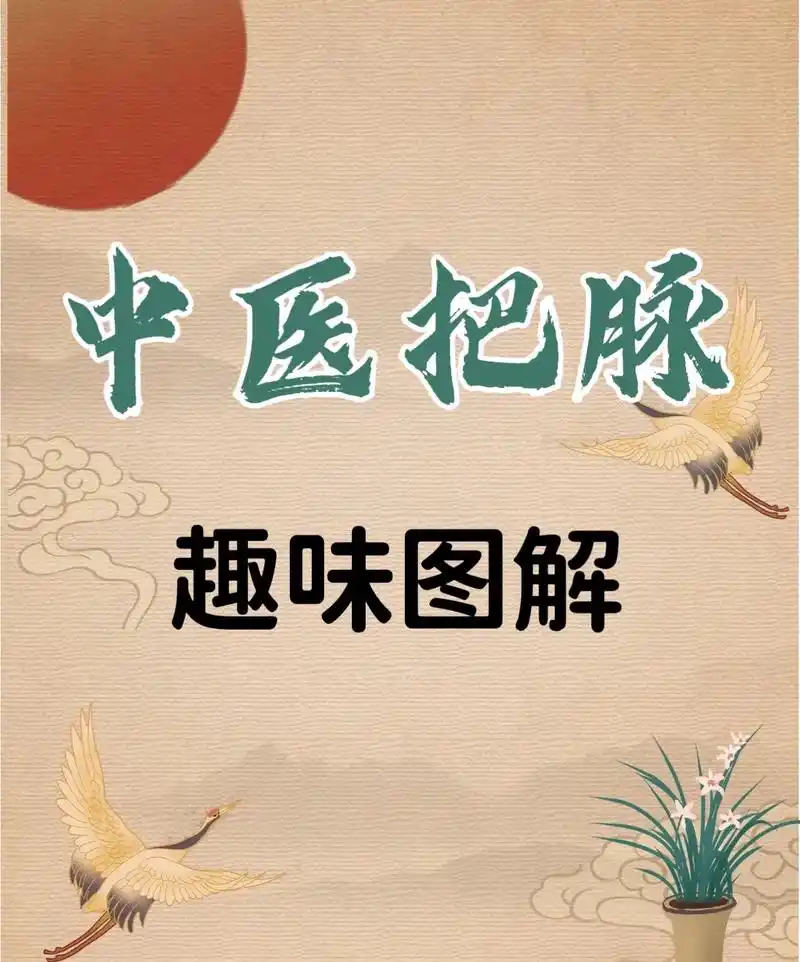 脉诊是非常重要的诊断手法,学会把脉是每个中yi  - 抖音