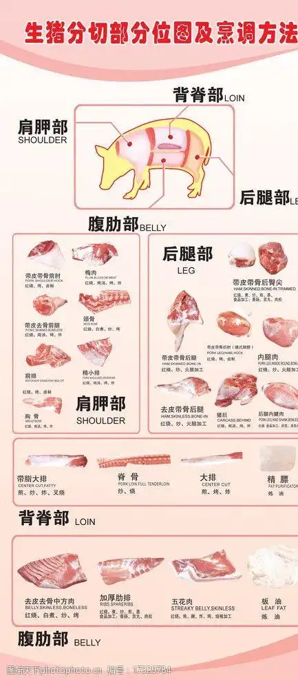 猪肉分割图图片