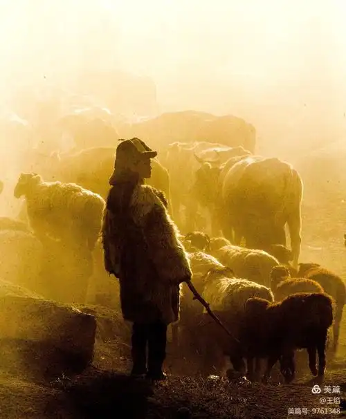 可可托海的牧羊人