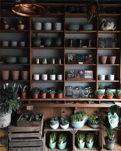 开一家复古花店,从此荒度余生!