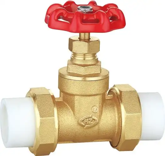 供ppr黄铜加厚高压闸阀截止阀水管阀门手轮止回阀逆止阀型号5109