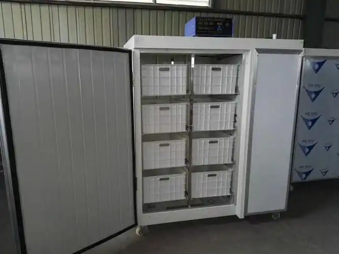 四川豆芽机商用豆芽机 黄豆芽机全自动发豆芽机生豆芽机价格