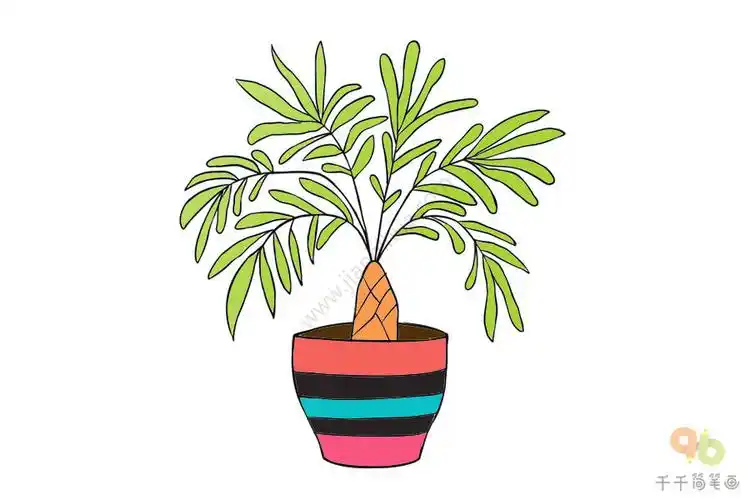 发财树步骤简笔画