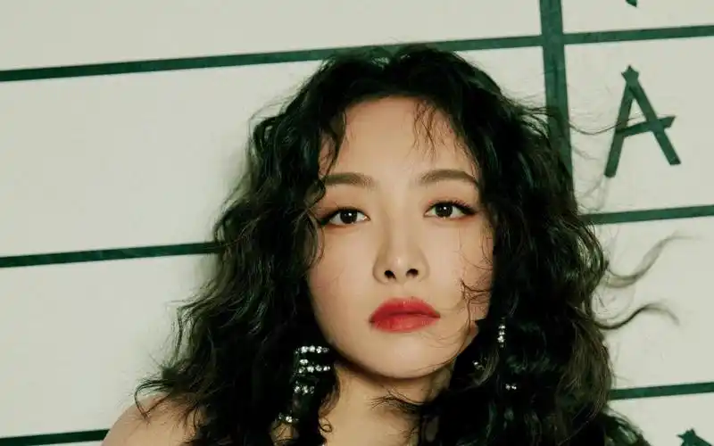 宋茜蓬松的卷发酷美霸气迷人写真,高清壁纸图片,大陆明星-回车桌面