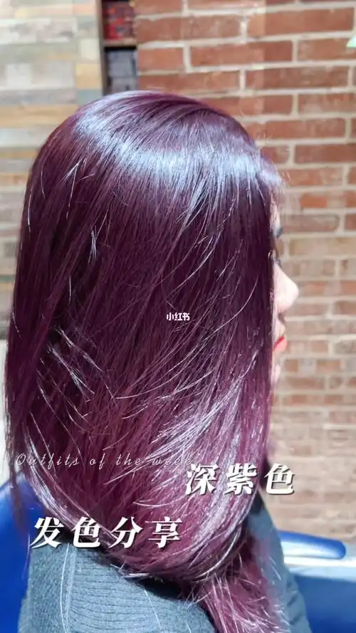 发色分享葡萄紫