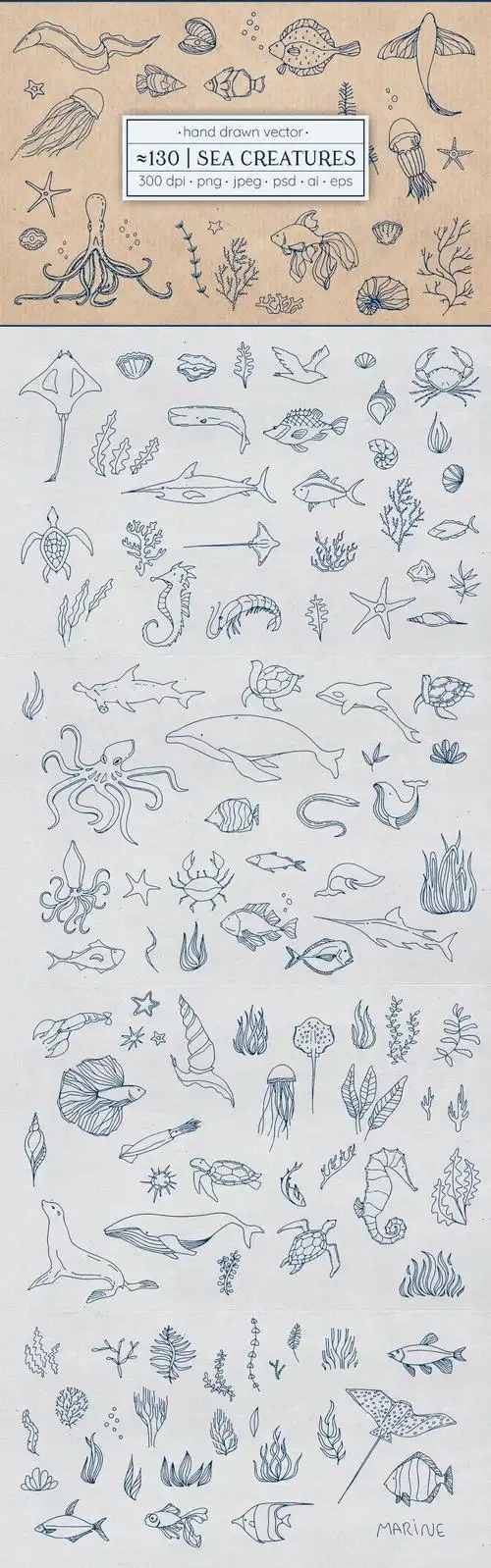 海鲜海产动物包装线稿鱼虾蟹手绘海洋生物ai psd设计素材 更多详情