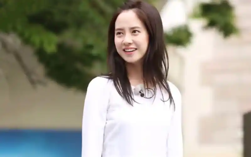 宋智孝|"九尾狐"懵智