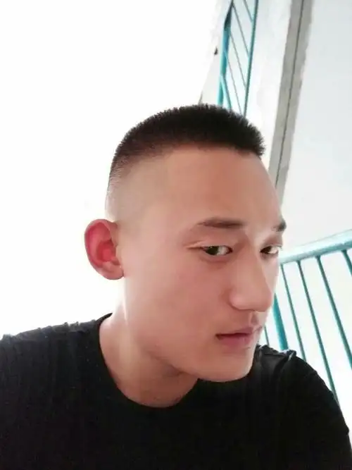 我的鼻子是龙鼻吗?如果不是请告知