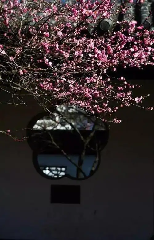 拍花,还是竖构图好看,经典竖构图范本!