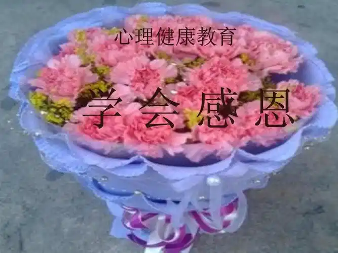 学会感恩课件(共9张ppt)心理健康_第1页